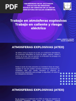 Trabajo en Atex