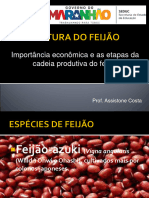 Cultura Do Feijão