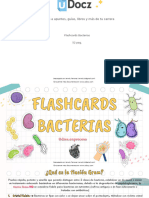 Flashcard Bacterias