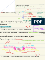 Embriologia Humana - 3 e 4 Sem