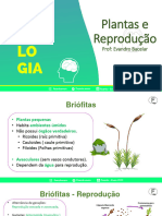 Plantas 8º Isj