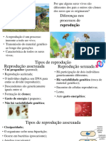 Reprodução PDF