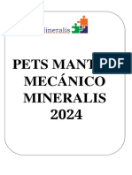 Pets Matto Mecánico 2024