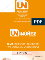 Digestion, Absorción y Metabolimos de Los Lipidos 3