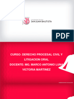 Derecho Procesal Civil y Litigacion Oral