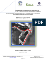 Resumen Ejecutivo