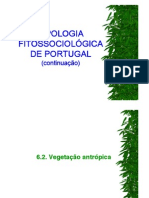 Tipologia Fitos2