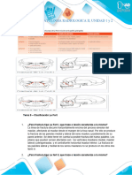 Tema 9 Clasificación Le Fort