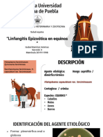 Linfangitis Caballos