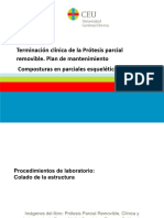 Tema 10 y 11 PPR 24pdf