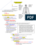 Medsurg Neuro Anatpatho