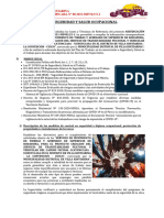 Sistemas de Seguridad y Salud Ocupacional Corregido