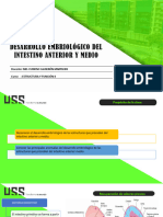 Semana 12 Desarrollo Embriologico Del Intestino Anterior y Medio