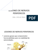 Lesiones de Nervios Perifericos