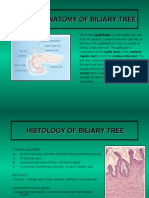 Biliary Tree