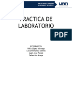 Practica de Laboratorio