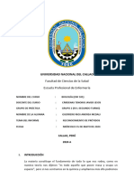 Practica 5 Identificación de Proteínas