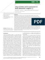 Rivera Et Al 2016 Plant Biotechnology Journal