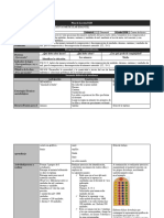 Matriz - Plan de Leccion