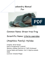 Amphibians. Green Tree Frog 2008BH