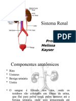 Renal Yed - 091705