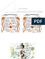 TEMA 21 - 22 Sistema Nervioso Autonomo