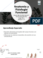 2° Anatomía y Fisiología Funcional