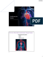 Cardiovascular System