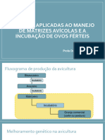 Aula 2 - Técnicas Aplicadas Ao Manejo de Matrizes Avícolas e A Incubação de Ovos Férteis