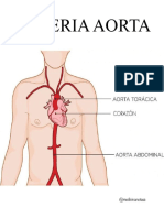 Артерії аорти