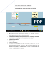 Actividad Simulador Expresión Genica, Transcrip. Traducción Modificado