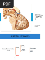 Sistema Nervovo