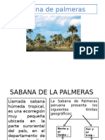 Sabana de Palmeras Expo