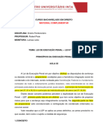 LEP - Aula 02 - Princípios Da Execução Penal