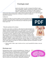 Fisiología Renal