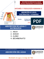 Clase #5 Absorción de Vitaminas y Electrolitos