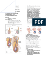 Hydrocele