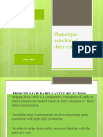 Phenotypic Selection of Dairy Cattle