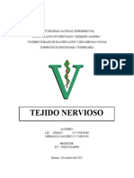 Tejido Nervioso