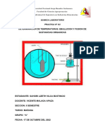 Quimica Laboratorio 02