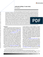 2017 Seismic Inversion of A Carbonate Buildup A Case Study