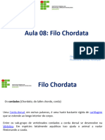 Filo Chordata 1