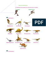 Tipos de Dinosaurios