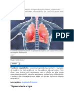 Rgreero Sistema Respiratório É Responsável Por Garantir A Captura Do Oxigênio Do Meio Ambiente e A Liberação Do Gás Carbônico para o Meio Externo