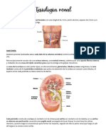 Renal Completo