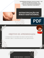 Classificacao de Risco Gestacional