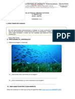 Guias Ciencias Naturales Cuarto Periodo 4° Grado 2021