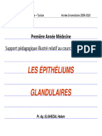 Épithliums Glandulaire