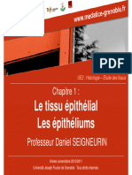 Tissus Épithéluims