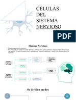 Tema #2 Celulas Del Sistema Nervioso